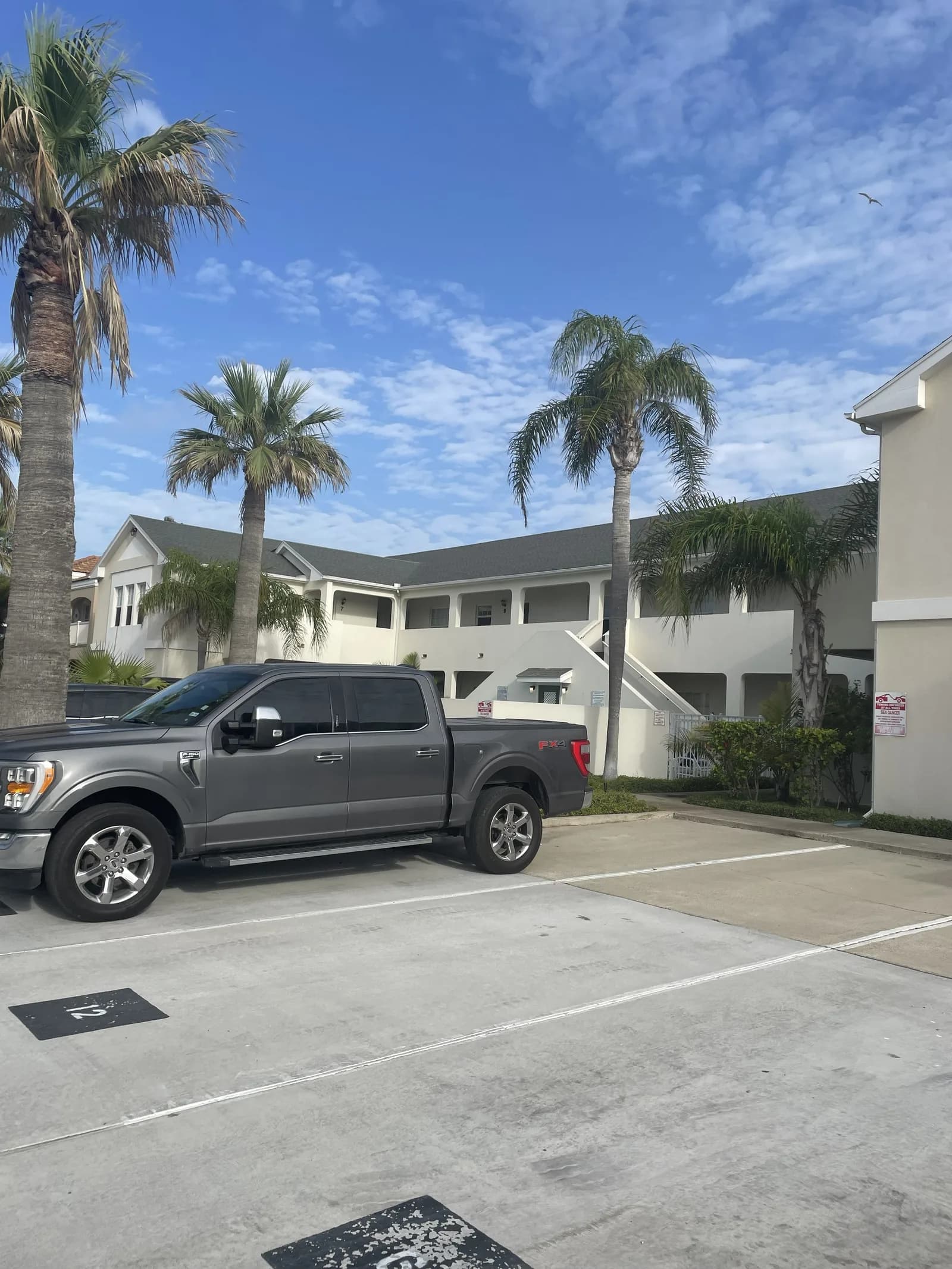 Parking lot just outside Dancing Turtle Cay with palm trees and the building entrance